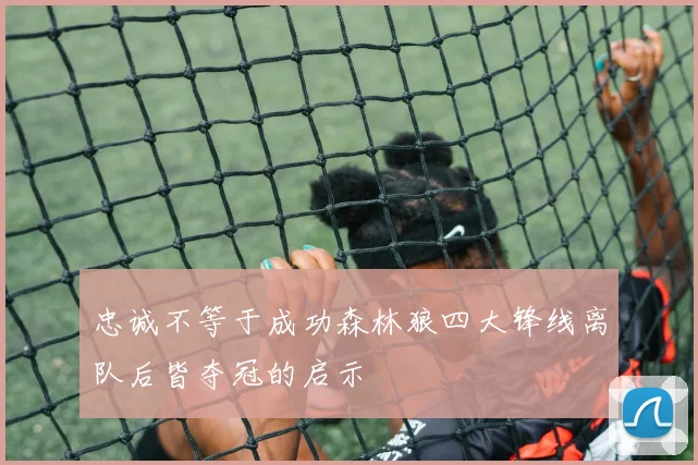 忠诚不等于成功森林狼四大锋线离队后皆夺冠的启示